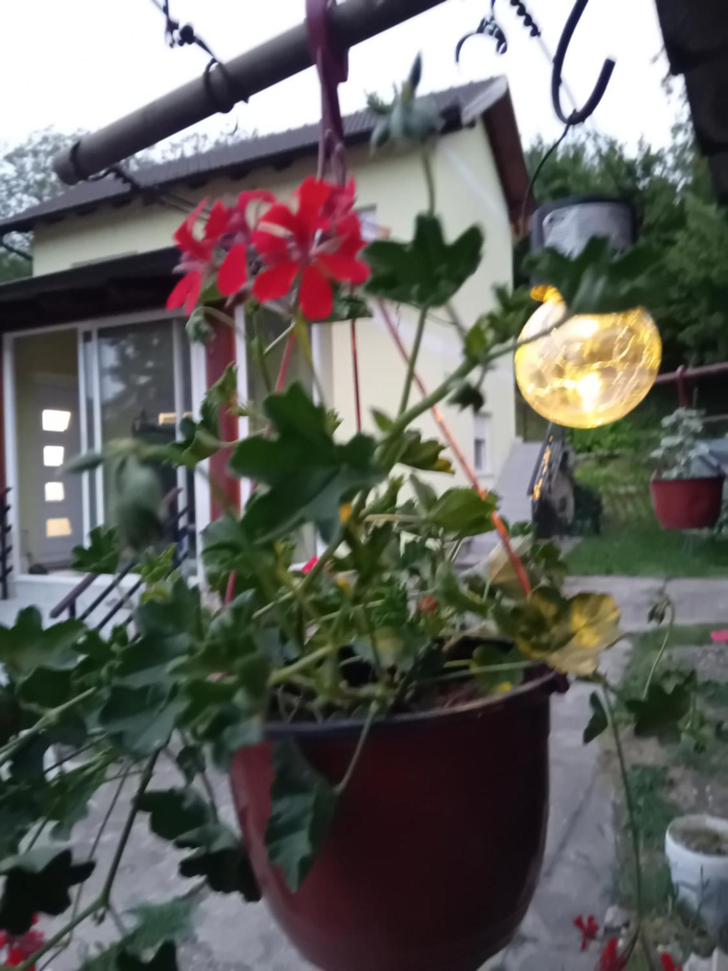 Lux Snezana Appartement Vrdnik Buitenkant foto